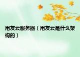 用友云服务器（用友云是什么架构的）