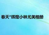 春天*辉煌小林尤美相册