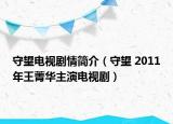 守望电视剧情简介（守望 2011年王菁华主演电视剧）