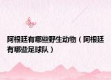 阿根廷有哪些野生动物（阿根廷有哪些足球队）