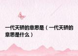一代天骄的意思是（一代天骄的意思是什么）