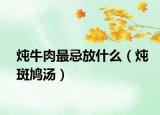 炖牛肉最忌放什么（炖斑鸠汤）