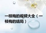 一枝梅的视频大全（一枝梅的结局）