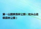 第一山国家森林公园（枕头山省级森林公园）