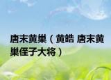 唐末黄巢（黄皓 唐末黄巢侄子大将）