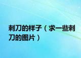 刺刀的样子（求一些刺刀的图片）