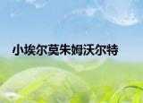 小埃尔莫朱姆沃尔特