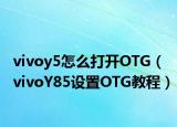 vivoy5怎么打开OTG（vivoY85设置OTG教程）