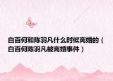 白百何和陈羽凡什么时候离婚的（白百何陈羽凡被离婚事件）