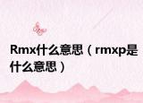 Rmx什么意思（rmxp是什么意思）