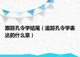 跟踪孔令学结尾（追踪孔令学表达的什么意）