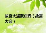 故宫大盗武庆辉（故宫大盗）