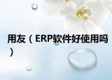 用友（ERP软件好使用吗）