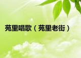 苑里唱歌（苑里老街）