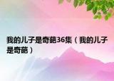我的儿子是奇葩36集（我的儿子是奇葩）