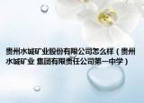 贵州水城矿业股份有限公司怎么样（贵州水城矿业 集团有限责任公司第一中学）