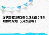 牙买加的短跑为什么这么强（牙买加的短跑为什么这么强呢）