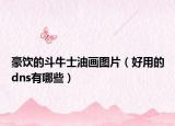 豪饮的斗牛士油画图片（好用的dns有哪些）