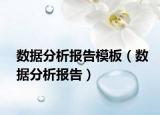 数据分析报告模板（数据分析报告）