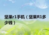 坚果r1手机（坚果R1多少钱）