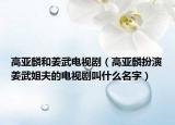 高亚麟和姜武电视剧（高亚麟扮演姜武姐夫的电视剧叫什么名字）