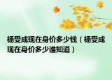 杨受成现在身价多少钱（杨受成现在身价多少谁知道）
