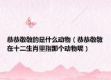 恭恭敬敬的是什么动物（恭恭敬敬在十二生肖里指那个动物呢）