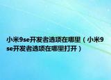 小米9se开发者选项在哪里（小米9se开发者选项在哪里打开）