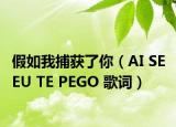假如我捕获了你（AI SE EU TE PEGO 歌词）