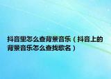 抖音里怎么查背景音乐（抖音上的背景音乐怎么查找歌名）