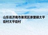 山东省济南市莱芜区寨里镇太平街村太平街村