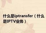什么是iptransfer（什么是IPTV业务）