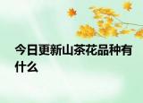 今日更新山茶花品种有什么