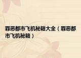 罪恶都市飞机秘籍大全（罪恶都市飞机秘籍）