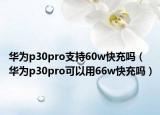 华为p30pro支持60w快充吗（华为p30pro可以用66w快充吗）