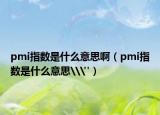 pmi指数是什么意思啊（pmi指数是什么意思\