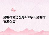 动物作文怎么写400字（动物作文怎么写）