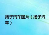 扬子汽车图片（扬子汽车）