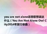 you are not alone这首歌想表达什么（You Are Not Alone Owl City2014年发行单曲）