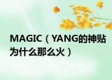MAGIC（YANG的神贴为什么那么火）
