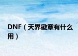 DNF（天界徽章有什么用）
