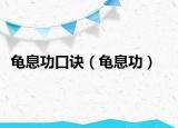 龟息功口诀（龟息功）
