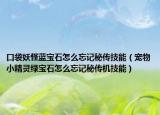 口袋妖怪蓝宝石怎么忘记秘传技能（宠物小精灵绿宝石怎么忘记秘传机技能）