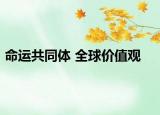 命运共同体 全球价值观