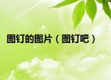 图钉的图片（图钉吧）