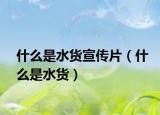 什么是水货宣传片（什么是水货）
