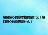 触目惊心的意思指的是什么（触目惊心的意思是什么）