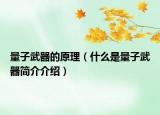 量子武器的原理（什么是量子武器简介介绍）