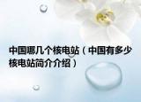 中国哪几个核电站（中国有多少核电站简介介绍）