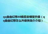 qq自由幻想40级后去哪里升级（qq自由幻想怎么升级快简介介绍）